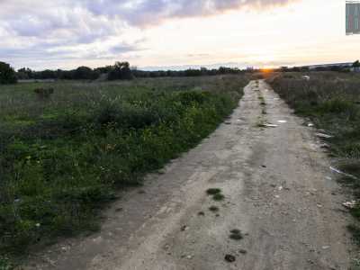 Un suggestivo sentiero che da Strada Vicinale San Marco sembra perdersi nei campi